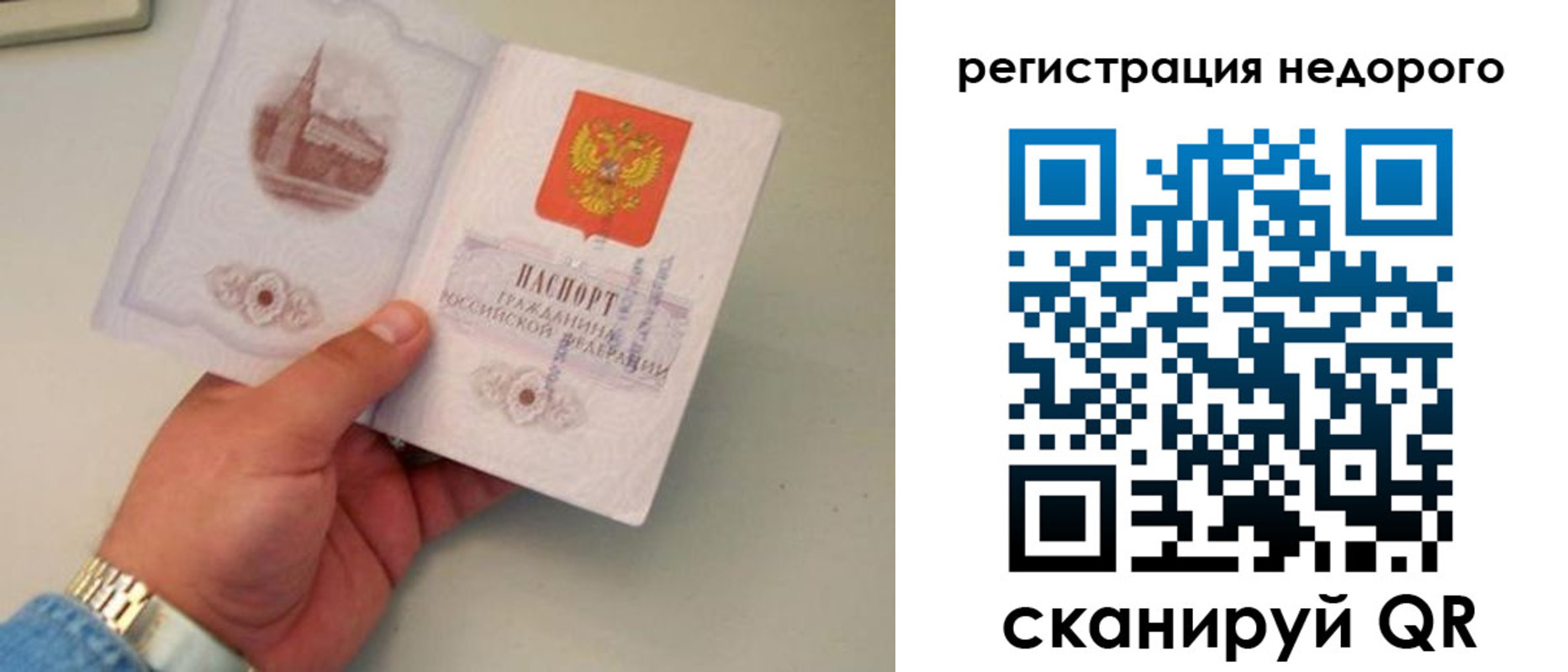 прописка законно в Королёве